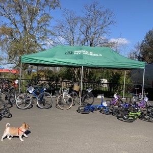 Camberwell Green Market