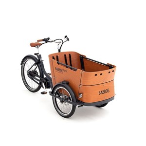 Nearly New Babboe Curve Mountain electric cargo bike